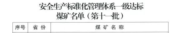 新疆宜化矿业获评国家安全生产标准化管理体系一级达标煤矿(图3)